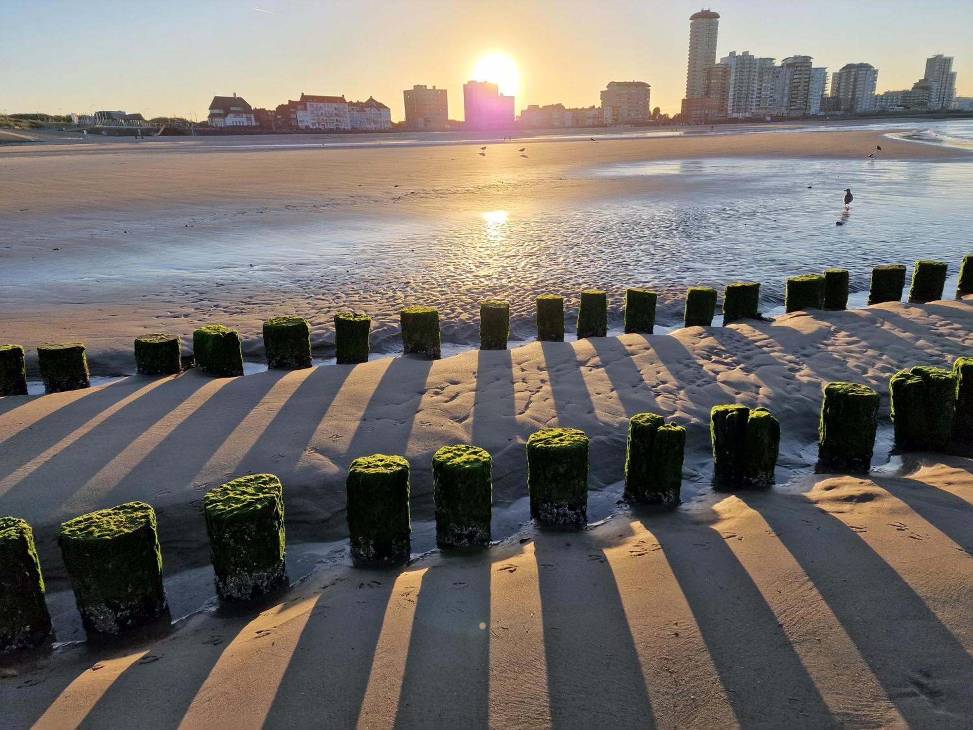 B&B Van Zon Aan Zee ลิสซิงเงิน ภายนอก รูปภาพ